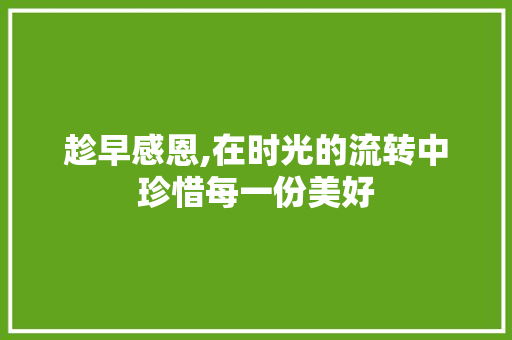 趁早感恩,在时光的流转中珍惜每一份美好 职场范文