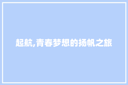 起航,青春梦想的扬帆之旅 报告范文