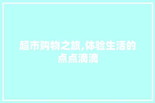 超市购物之旅,体验生活的点点滴滴