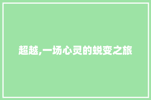 超越,一场心灵的蜕变之旅