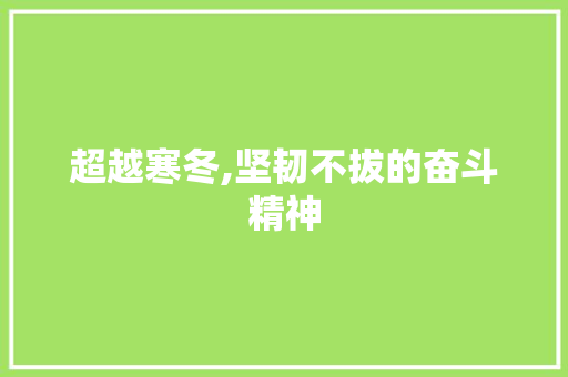 超越寒冬,坚韧不拔的奋斗精神