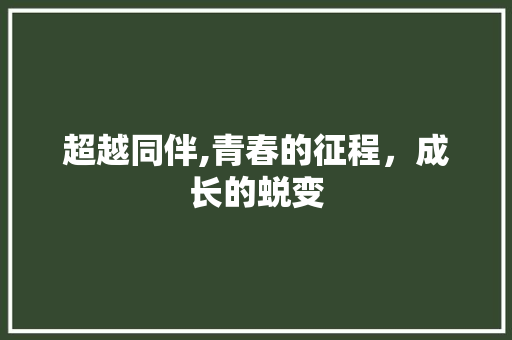 超越同伴,青春的征程，成长的蜕变