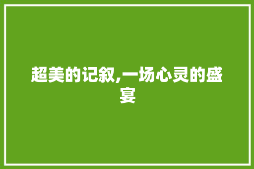 超美的记叙,一场心灵的盛宴