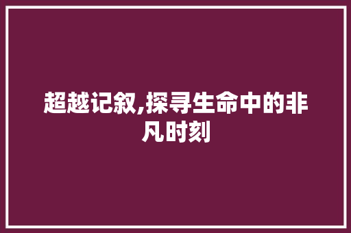 超越记叙,探寻生命中的非凡时刻