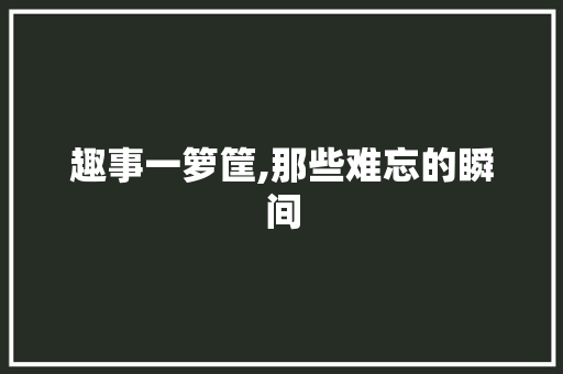 趣事一箩筐,那些难忘的瞬间