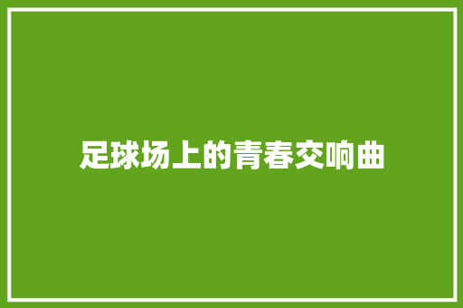 足球场上的青春交响曲