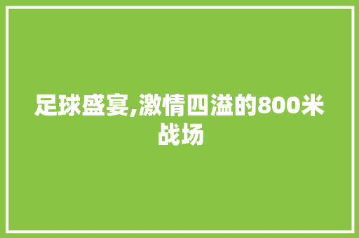 足球盛宴,激情四溢的800米战场