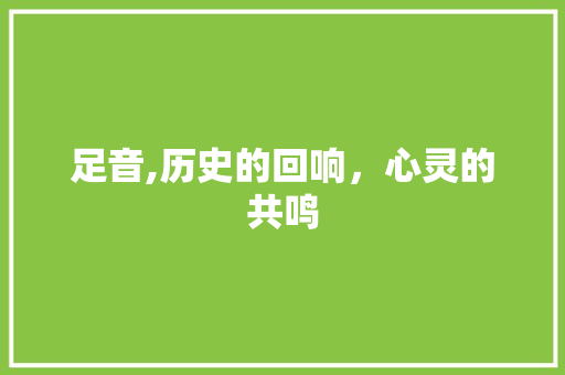 足音,历史的回响，心灵的共鸣