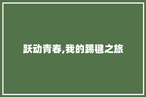 跃动青春,我的踢毽之旅 致辞范文