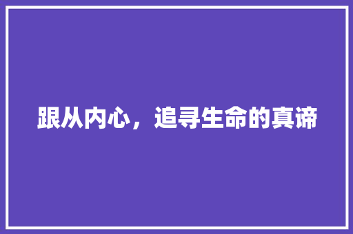 跟从内心，追寻生命的真谛