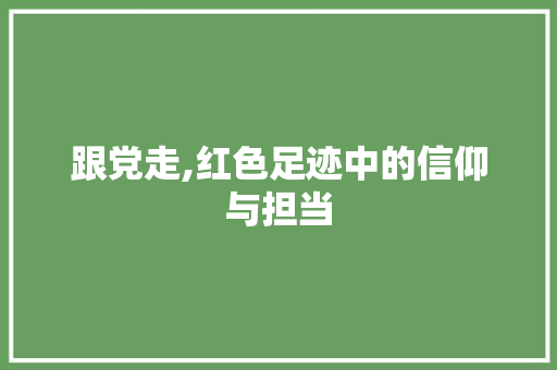 跟党走,红色足迹中的信仰与担当