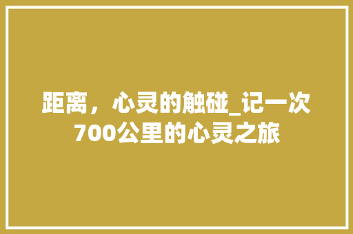 距离，心灵的触碰_记一次700公里的心灵之旅 会议纪要范文