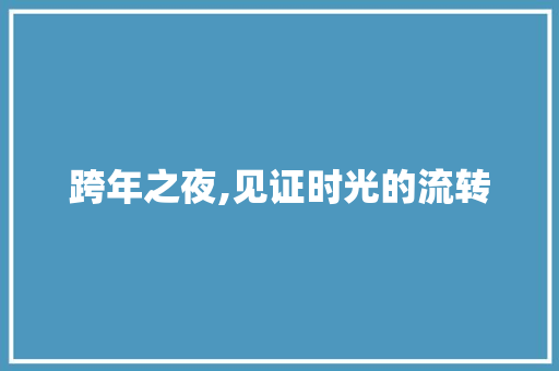 跨年之夜,见证时光的流转