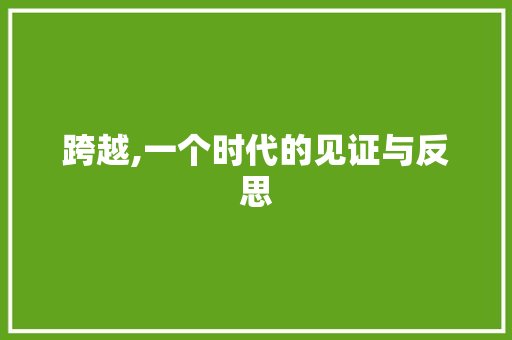 跨越,一个时代的见证与反思