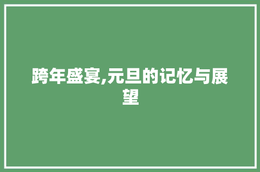 跨年盛宴,元旦的记忆与展望