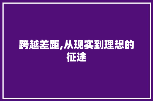 跨越差距,从现实到理想的征途