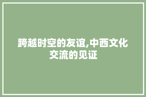 跨越时空的友谊,中西文化交流的见证