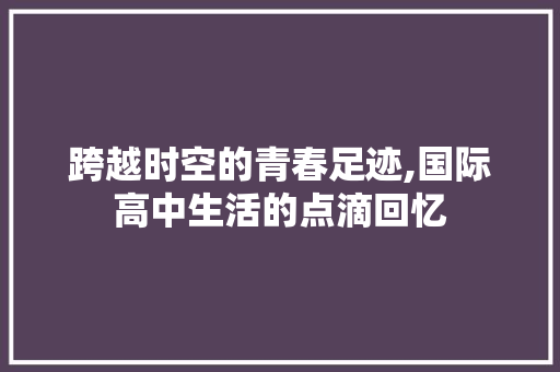 跨越时空的青春足迹,国际高中生活的点滴回忆