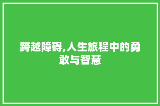 跨越障碍,人生旅程中的勇敢与智慧 求职信范文