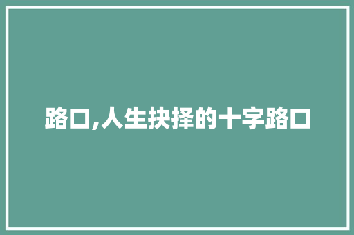 路口,人生抉择的十字路口 报告范文