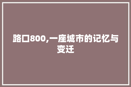 路口800,一座城市的记忆与变迁 简历范文