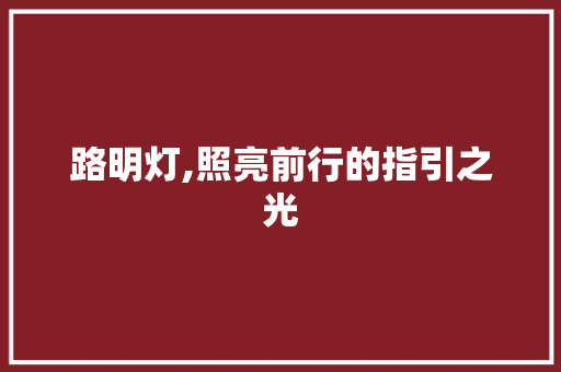 路明灯,照亮前行的指引之光