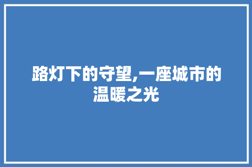 路灯下的守望,一座城市的温暖之光