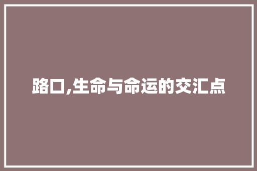 路口,生命与命运的交汇点