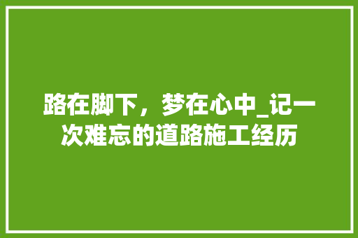 路在脚下，梦在心中_记一次难忘的道路施工经历