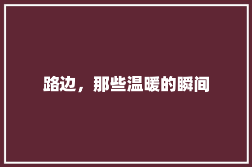 路边，那些温暖的瞬间