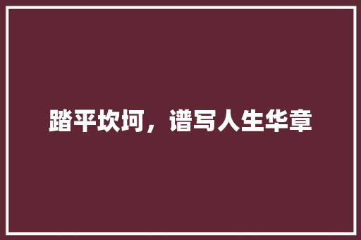 踏平坎坷，谱写人生华章 报告范文