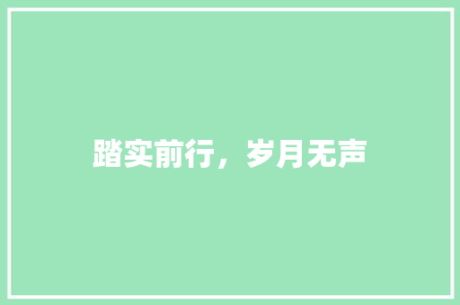 踏实前行，岁月无声