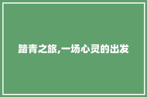 踏青之旅,一场心灵的出发 学术范文