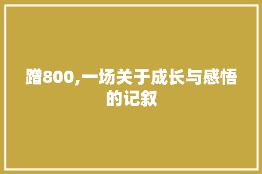 蹭800,一场关于成长与感悟的记叙