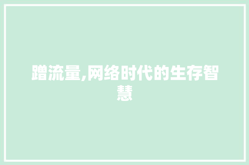 蹭流量,网络时代的生存智慧 演讲稿范文