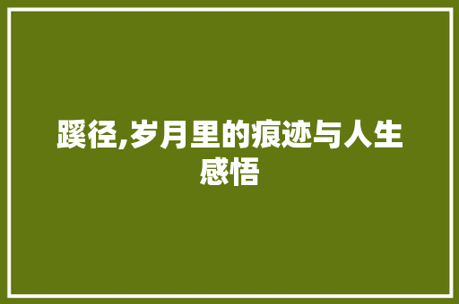 蹊径,岁月里的痕迹与人生感悟 简历范文