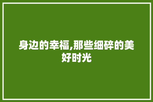 身边的幸福,那些细碎的美好时光