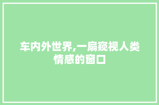 车内外世界,一扇窥视人类情感的窗口 报告范文