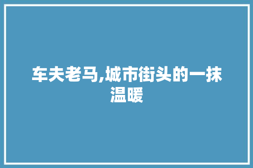 车夫老马,城市街头的一抹温暖