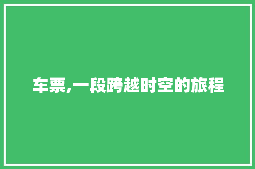 车票,一段跨越时空的旅程