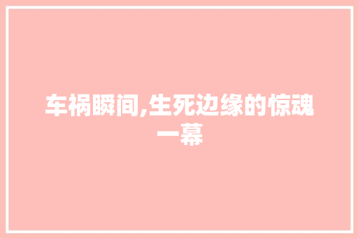 车祸瞬间,生死边缘的惊魂一幕