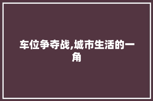 车位争夺战,城市生活的一角 简历范文