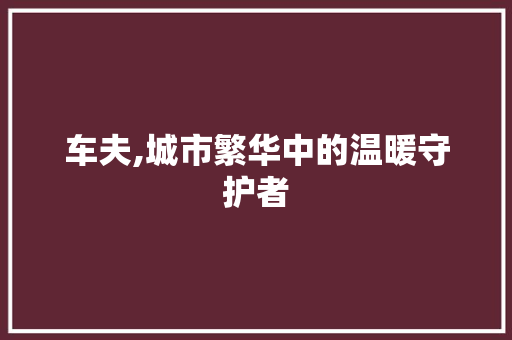 车夫,城市繁华中的温暖守护者 报告范文