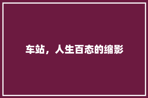 车站，人生百态的缩影