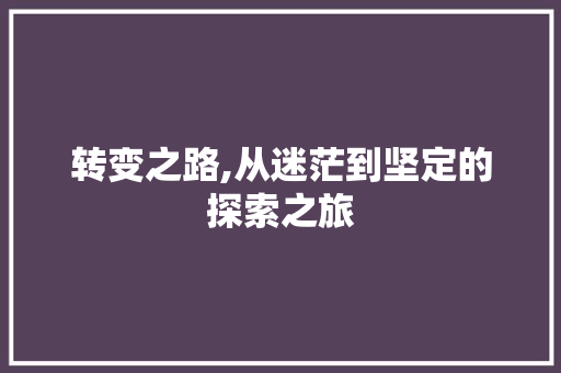 转变之路,从迷茫到坚定的探索之旅