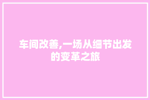 车间改善,一场从细节出发的变革之旅 综述范文