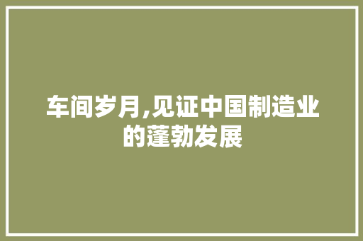 车间岁月,见证中国制造业的蓬勃发展