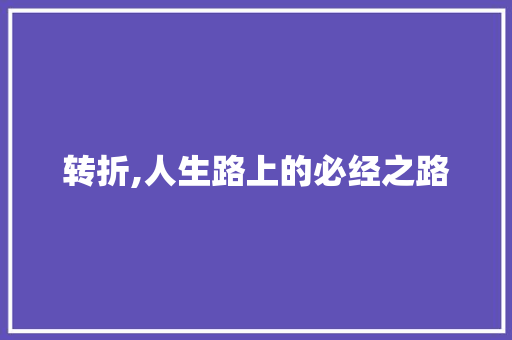 转折,人生路上的必经之路