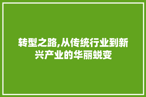 转型之路,从传统行业到新兴产业的华丽蜕变 报告范文