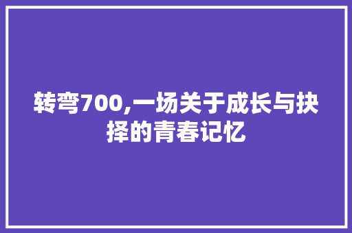 转弯700,一场关于成长与抉择的青春记忆